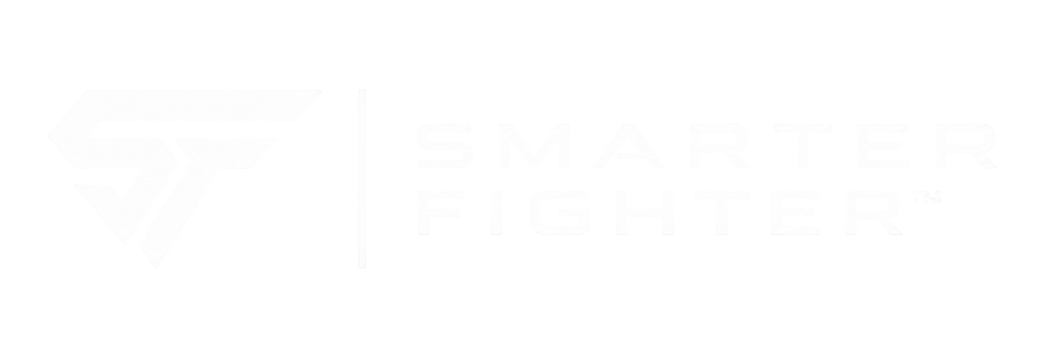 SmarterFighter
